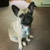 Elena Baumann - @user85031920056387 - TikTok