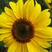 Helena Baumann - Facebook