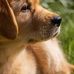Yelena Baumann - Facebook