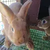elenabean09 - @elenabean09 - TikTok