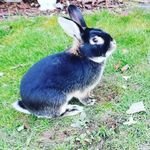 Elena Bennett - @elena.bennett.1276 - Instagram