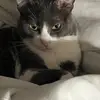 elenabenoit_ - @elenabenoit_ - TikTok