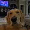 Elena Berruti - @elenaberruti55 - TikTok