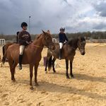 elena Bernard - @elenanolan1803 - Instagram