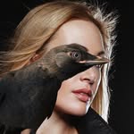 Птицы. Собаки. Кинолог. Зоопсихолог. Москва - @_elena_bond - Instagram