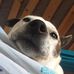 Elena Bryson - Facebook