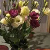 elenacamilo5 - @elenacamilo5 - TikTok
