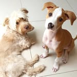Elena•Camilo•Porfirio - @camilo_elena_porfirio - Instagram