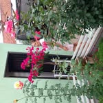 Maria Elena Camilo - @camilomaria940 - Instagram