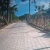 Elena Carrillo - @elena.carrillo33 - TikTok