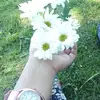 Elena Hernandez66026 - @elenacasco98 - TikTok