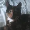 Маша - @elenacassas - TikTok