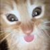 Elena Cazarez - Facebook