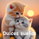 elena celis veltran - @elenacelisveltran - Instagram