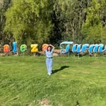 Elena R Celis Corahua - @elena_celisc - Instagram