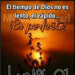 Maria Elena Celis Gomez - @mariaelenacelisgomez - Instagram