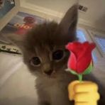 Elena Chapa - Facebook