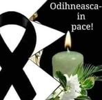 Elena Chiru - Facebook