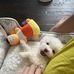 Elena Chu - Facebook