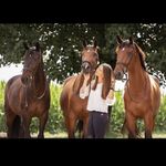 Elena, Franz, Püppi & Coco - @coolman_59 - Instagram
