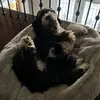 elena🪩 - @el.enacoppa - TikTok