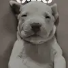 Elena Dillon - @elena.dillon7 - TikTok