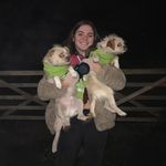 Woody And Luna ✨ @elena.dillon - @woody_and_luna_ - Instagram
