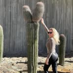 Elena Forrest - Facebook