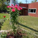 Elena Galvan - Facebook