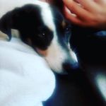Elena Gates - @elenagates2012 - Instagram