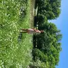 Elena Gerhardt - @elena.gerhardt6 - TikTok