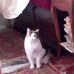 Elena Gioacchini - Facebook