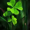 Elena Glavan881 - @elenaglavan881 - TikTok