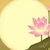 Elena Good - @elena.good8 - TikTok