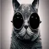 ELenagood - @elenagudkova0608 - TikTok