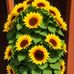 Helen Graff - Facebook
