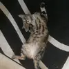 elenagranger234 - @elenagranger234 - TikTok