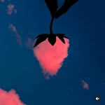 Elenа - @elenamarigrayson - Instagram
