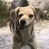 elenagreer - @elenagreer - TikTok