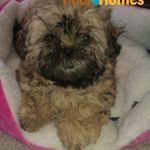 E J Griffiths - @elenagriffiths58 - Instagram