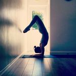 Elena Hall - @moving_asana_4life - Instagram