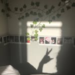 Elena Holmes - @elenaroseholmes - Instagram