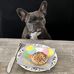 Ilona Horvers - Facebook