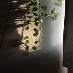 el🐛 - @elena.marshall2 - Instagram