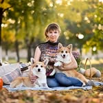ПИТОМНИК КОРГИ МИЛЛИКОР/ЩЕНКИ/КРАСНОДАР/АРМАВИР - @elenamin_ko - Instagram