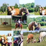 Elena Norrick - @elena_and_moses_eventing - Instagram