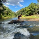 Elena paños galardón - @elenapanosgalardon - Instagram