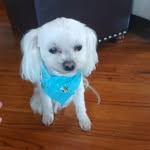 Elena Pearson-Sprinkle - @sprinkl - Instagram