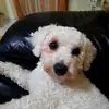 Elena Rinaldi790 - @elenarinaldi04 - TikTok