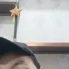 elenaroberson1958 - @elenaroberson1958 - TikTok